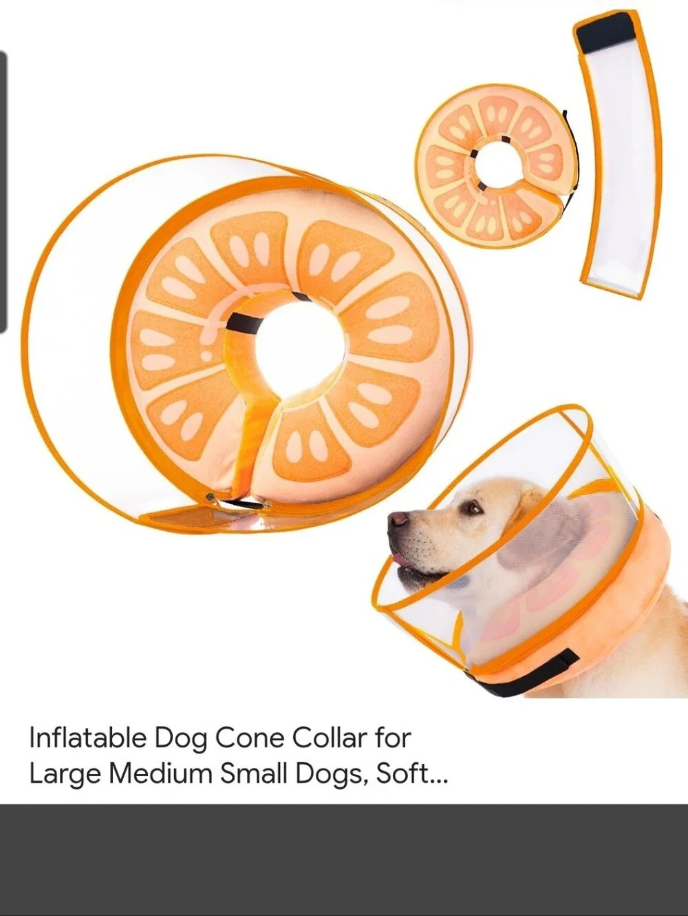 Inflatable Pet Collar